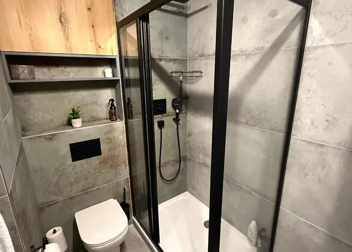 아파트 Visteria 10 체스케부데요비체