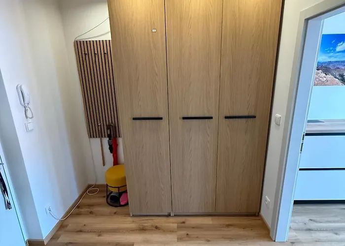 Visteria 10 * 체스케부데요비체