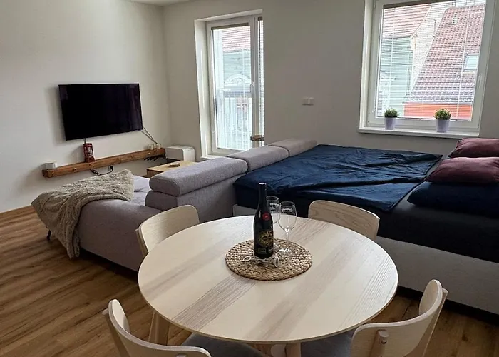 Visteria 10 체스케부데요비체